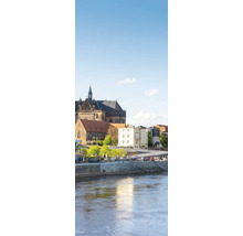 Fototapete mit Ansicht des Magdeburger Doms und der Elbe bei Tageslicht mit Spiegelungen im Wasser.
