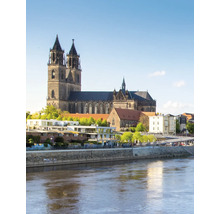 Stadtansicht von Magdeburg mit dem Magdeburger Dom und der Elbe bei klarem Wetter.