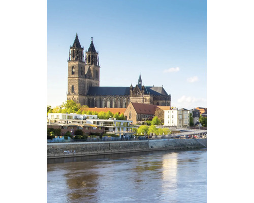 Stadtansicht von Magdeburg mit dem Magdeburger Dom und der Elbe bei klarem Wetter.