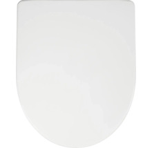 WC-Sitz Deckel in Weiß, klassische Form, glatte Oberfläche.