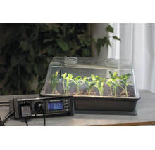 Helles Zimmergewächshaus mit Keimlingen und einem digitalen HortiSwitch Thermostat auf einem organisierten Holztisch.