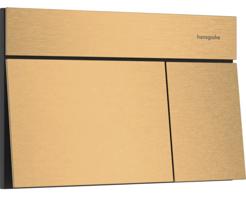 hansgrohe Betätigungsplatte für WC, rechteckig mit gebürsteter Metalloberfläche, Zwei-Mengen-Spülung.