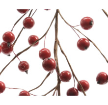 Zweig mit runden, glänzenden roten Beeren zur Dekoration.