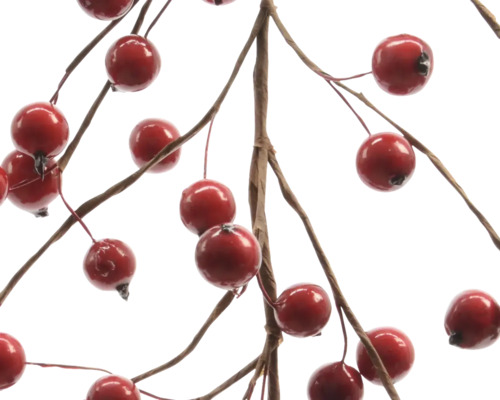 Zweig mit runden, glänzenden roten Beeren zur Dekoration.