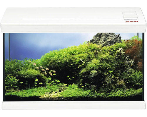 EHEIM Aquarium mit weißer Abdeckung, bepflanzt mit üppigem Aquascaping aus verschiedenen Wasserpflanzen, Steinen und kleinen Fischen.