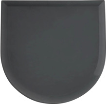 WC-Sitz Deckel in Anthrazit mit abgerundeter Form.