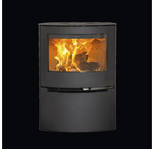 Moderner Kaminofen aus schwarzem Stahl mit großer Sichtscheibe und brennendem Holzfeuer.