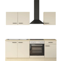 Moderne Küchenzeile mit Hängeschränken, Unterschränken, Einbaubackofen, Glaskeramikkochfeld, Dunstabzugshaube und Spüle.