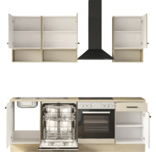 Küchenzeile mit Hängeschränken, Dunstabzugshaube, Spüle, offenem Geschirrspüler, Backofen und Kochfeld.
