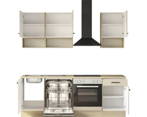 Küchenzeile mit Hängeschränken, Dunstabzugshaube, Spüle, offenem Geschirrspüler, Backofen und Kochfeld.