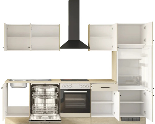 Küchenzeile mit Einbaugeräten, Geschirrspüler, Backofen, Kochfeld, Dunstabzugshaube und Kühlschrank, Schränke und Geräte sind geöffnet dargestellt.