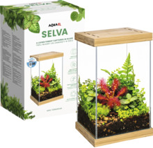 Aquael Selva Mini Terrarium aus Glas und Bambus mit App-Steuerung, bepflanzt mit verschiedenen Pflanzen, neben der Produktverpackung.