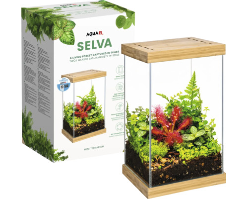 Aquael Selva Mini Terrarium aus Glas und Bambus mit App-Steuerung, bepflanzt mit verschiedenen Pflanzen, neben der Produktverpackung.