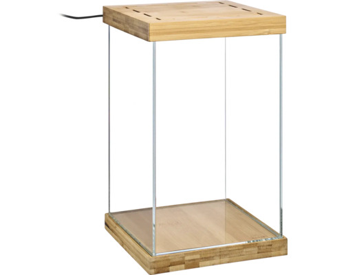 Quadratisches Glas-Terrarium mit Deckel und Boden aus Bambus sowie einem schwarzen Stromkabel.