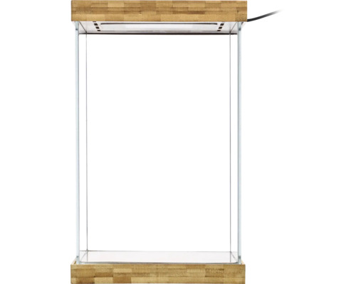 Kleines Glasterrarium mit Boden und Abdeckung aus Bambus sowie integrierter Beleuchtung.