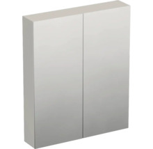 Zweitüriger Spiegelschrank für das Badezimmer mit verspiegelter Front und rechteckigem Design.