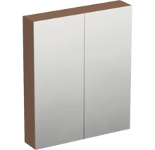 Zweitüriger Badezimmer-Spiegelschrank zur Wandmontage mit braunen Seitenwänden.