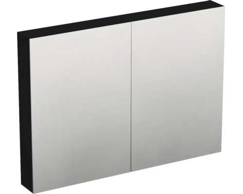 Zweitüriger Spiegelschrank für das Badezimmer mit dunklem Gehäuse.