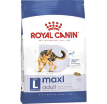 Royal Canin Maxi Adult Hundefutter für große Hunde von 26 bis 44 Kilogramm, ab 15 Monaten, zur Unterstützung der Verdauung.