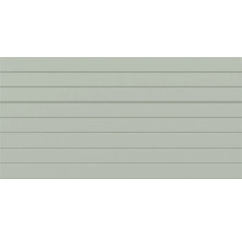 Wandpaneel mit horizontalem Nut-und-Feder-Profil für Fassade oder Innenbereich.