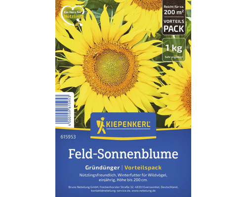 Kiepenkerl Feld-Sonnenblume Gründünger 1 Kilogramm Vorteilspack für circa 200 Quadratmeter. Nützlingsfreundliches Winterfutter für Wildvögel.