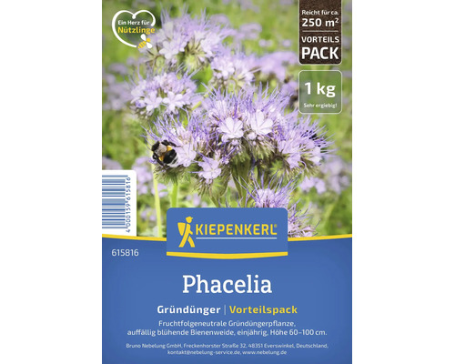 Kiepenkerl Phacelia Gründünger, 1 Kilogramm für circa 250 Quadratmeter. Bienenfreundliche Pflanze, einjährig, Höhe 60 bis 100 Zentimeter.