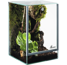 Diversa Nano-Terrarium aus Glas, bepflanzt mit Moos und grünen Pflanzen auf dunklem Substrat.