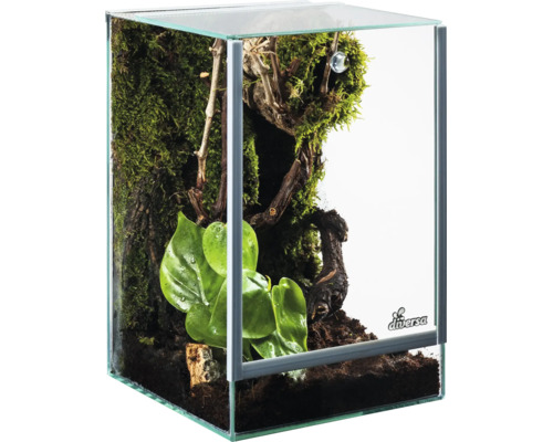 Diversa Nano-Terrarium aus Glas, bepflanzt mit Moos und grünen Pflanzen auf dunklem Substrat.