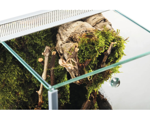 Glasterrarium Innenansicht mit Moos, Korkrinde und Zweigen zur Dekoration.