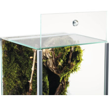 Detailansicht eines Glasterrariums mit geöffnetem Schiebedeckel, Moos und Holzästen im Inneren.