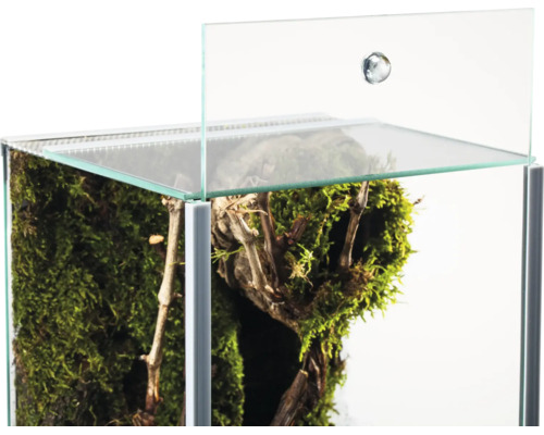 Detailansicht eines Glasterrariums mit geöffnetem Schiebedeckel, Moos und Holzästen im Inneren.