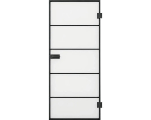 Moderne Innentür mit schwarzem Metallrahmen und fünf Feldern aus mattem Glas im industriellen Design.