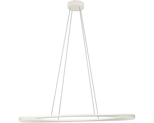 Moderne LED-Pendelleuchte in Ringform mit vier dünnen Seilabhängungen und runder Deckenbefestigung.