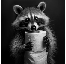 Ein Waschbär hält eine Rolle Toilettenpapier in seinen Pfoten.