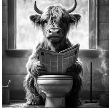 Wandbild mit einem Highland Rind auf einer Toilette, das eine Zeitung liest, Schwarz-Weiss-Stil.