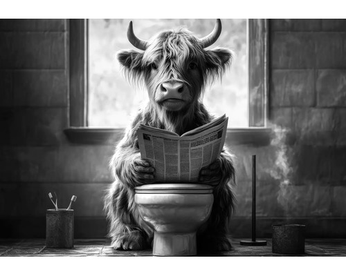 Schwarz-Weiß-Wandbild eines Hochlandrinds, das auf einer Toilette sitzt und eine Zeitung liest, Dekoration für das Badezimmer.