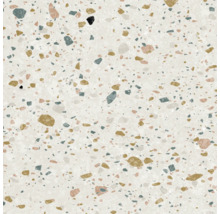 Terrazzo-Oberfläche mit unregelmäßigen Mineraleinschlüssen und feiner Struktur.