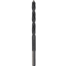 Alpen Steinbohrer aus Metall mit Zentrierspitze und doppelter Spirale.