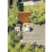 Person mit Hund auf einer Holzterrasse aus Dielen, umgeben von Bambuspflanzen und einer Sichtschutzwand aus Cortenstahl.