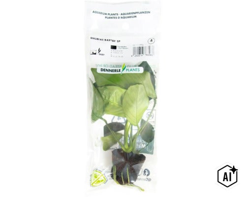 Anubias barteri var. nana Aquarienpflanze in Folienverpackung von Dennerle Plants (Image AI modified or generated)