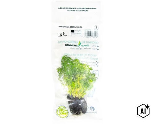 Dennerle Plants Aquariumpflanze Limnophila sessiliflora in transparenter Verpackung mit Kokosfaserballen und Pflegehinweisen. (Image AI modified or generated)