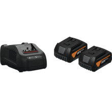 Ladegerät und zwei Akkus mit 18 Volt und 5,0 Amperestunden für Elektrowerkzeuge.