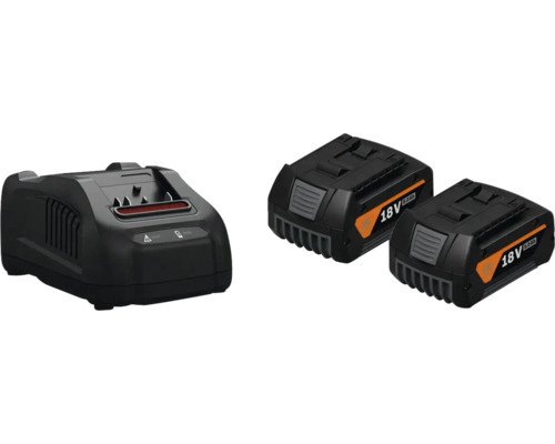 Ladegerät und zwei Akkus mit 18 Volt und 5,0 Amperestunden für Elektrowerkzeuge.