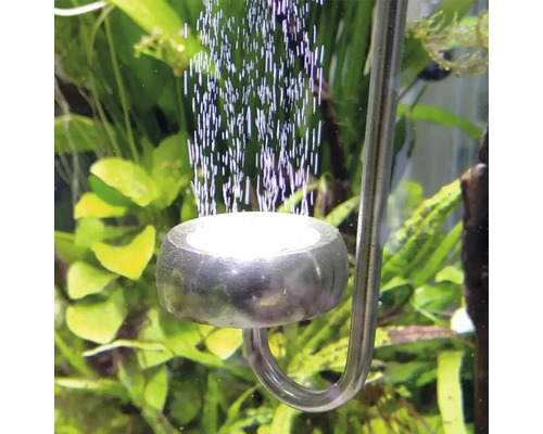 Edelstahl-CO2-Diffusor für Aquarien, der feine Bläschen im Wasser zwischen grünen Pflanzen freisetzt.