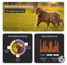 Infografik für Katzen-Aktivitätstracking mit täglichem Ziel, Verteilung der Bewegung und Aktivitätsbericht über Schritte und Kilometer. (Image AI modified or generated)