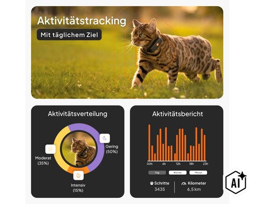 Infografik für Katzen-Aktivitätstracking mit täglichem Ziel, Verteilung der Bewegung und Aktivitätsbericht über Schritte und Kilometer. (Image AI modified or generated)