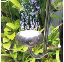 CO2-Diffusor aus Edelstahl im Aquarium, der feine Bläschen abgibt