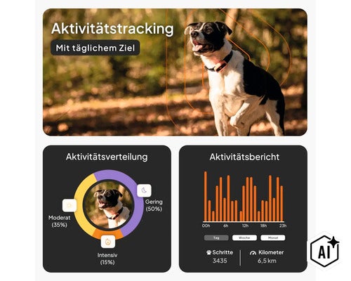 GPS Tracker weenect für Hunde 28 g, 6 x 2,4 x 1,5 cm, weiß (Image AI modified or generated)