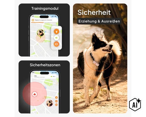 GPS Tracker weenect für Hunde 28 g, 6 x 2,4 x 1,5 cm, weiß (Image AI modified or generated)