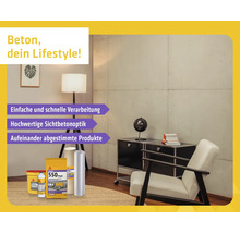 Modern gestalteter Wohnraum mit einer Wand in Sichtbetonoptik, einem Sessel und einem Sideboard. Im Vordergrund sind verschiedene Sika-Produkte.